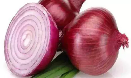 स्वास्थ्य के लिए बेहद फायदेमंद है प्याज, इम्युनिटी बढ़ाने के साथ ही इन बीमारियों से रखता है दूर