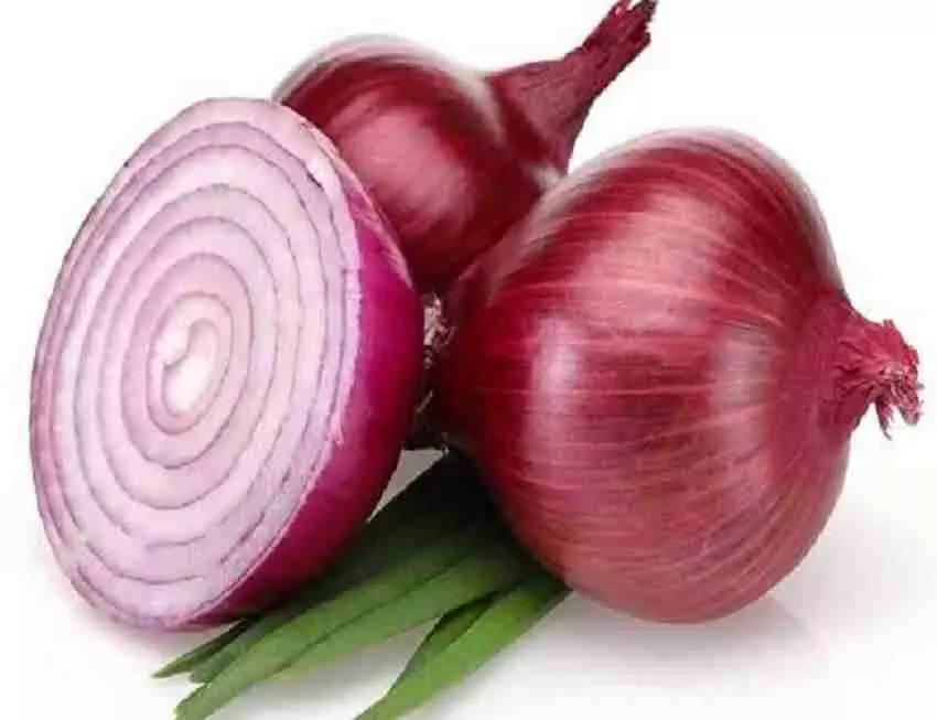 स्वास्थ्य के लिए बेहद फायदेमंद है प्याज, इम्युनिटी बढ़ाने के साथ ही इन बीमारियों से रखता है दूर
