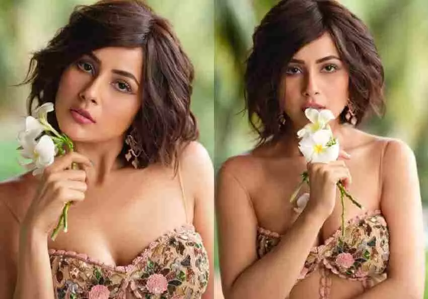 Shehnaaz Gill का नया अवतार देख चौके फैंस, लिखा-आप बॉलीवुड की नई स्टार हो...