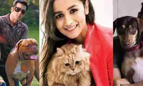 बॉलीवुड के ये सितारे जानवरों से करते हैं बेहद प्यार, डॉगी की मौत की खबर सुन टूट गए थे सलमान