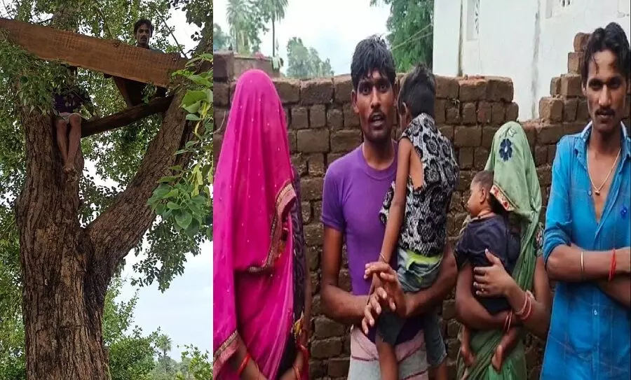 Flood in MP: Two Family with pregnant climbed on 16 feet high tree for 24 hours, rescued by NDRF team