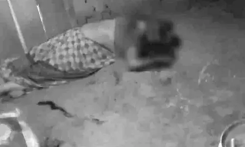 चरित्र संदेह पर पति ने पत्नी को उतारा मौत के घाट, टांगी से गर्दन पर किये कई वार