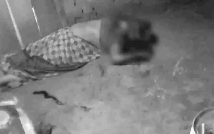 चरित्र संदेह पर पति ने पत्नी को उतारा मौत के घाट, टांगी से गर्दन पर किये कई वार