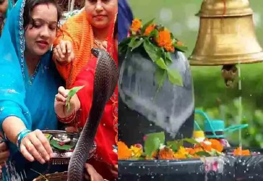 Nag Panchami 2021: The festival of Nag Panchami will be celebrated on August 13, know the auspicious time and special things related to the festival