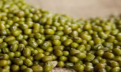 मूंग दाल के फायदे