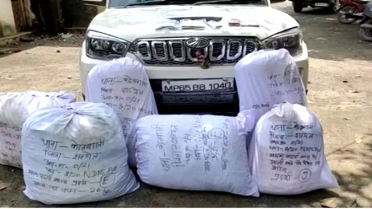 Shahdol News : 3 थानों की पुलिस ने की घेराबंदी, पकडा़ 1 क्विंटल गांजा और 3 आरोपी