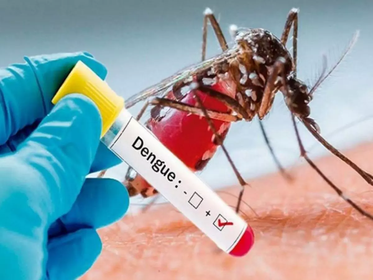 MP के इस जिले में बेलगाम हुआ डेंगू, 48 घंटे में मिले 40 मरीज, कुल रोगी 194