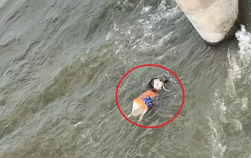 रीवा: टमस नदी में दिखा महिला का तैरता हुआ शव, एमपी-यूपी पुलिस निकालने का कर रही प्रयास