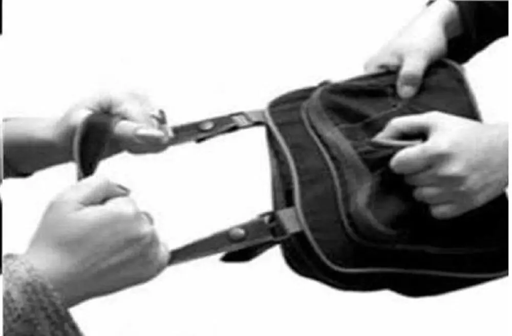 Satna News : 45 हजार रूपये की दिन दहाड़े लूट, पीएम आवास की क़िस्त निकाल कर जा रहा था पीड़ित