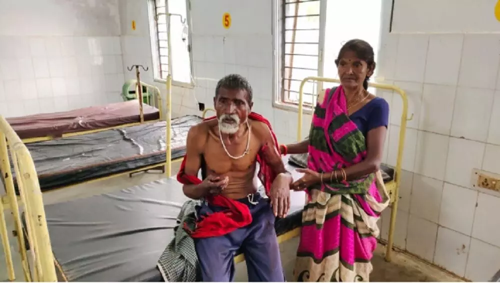 Satna News : बाघ के हमले से चरवाहा घायल, शावकों के साथ घूम रही बाघिन, वन अमला अनभिज्ञ