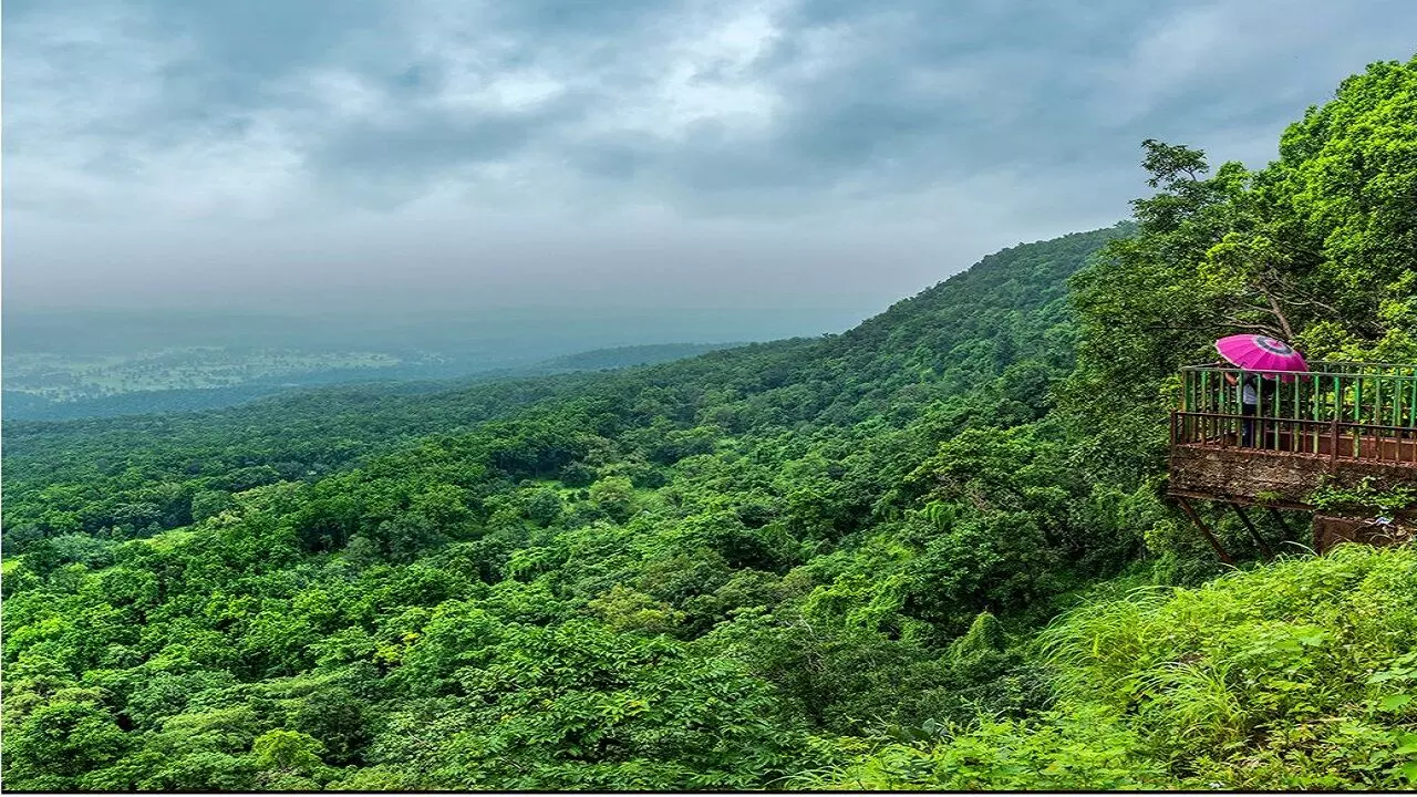 बेस्ट है मध्य प्रदेश के जंगल और यहाँ के वन्यप्राणी, देशी-विदेशी पर्यटको को कर रहे आकर्षित, मिला सर्वश्रेष्ठ अवार्ड बेस्ट है मध्य प्रदेश के जंगल और यहाँ के वन्यप्राणी, देशी-विदेशी पर्यटको को कर रहे आकर्षित, मिला सर्वश्रेष्ठ अवार्ड