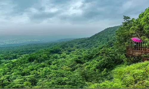बेस्ट है मध्य प्रदेश के जंगल और यहाँ के वन्यप्राणी, देशी-विदेशी पर्यटको को कर रहे आकर्षित, मिला सर्वश्रेष्ठ अवार्ड बेस्ट है मध्य प्रदेश के जंगल और यहाँ के वन्यप्राणी, देशी-विदेशी पर्यटको को कर रहे आकर्षित, मिला सर्वश्रेष्ठ अवार्ड