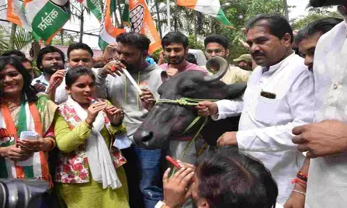 Bhopal में भैंस के साथ ऊर्जा मंत्री के बंगले पहुंचे कांग्रेसी, बजाई बीन और कहा - बढ़े हुए बिजली बिल वापस ले सरकार