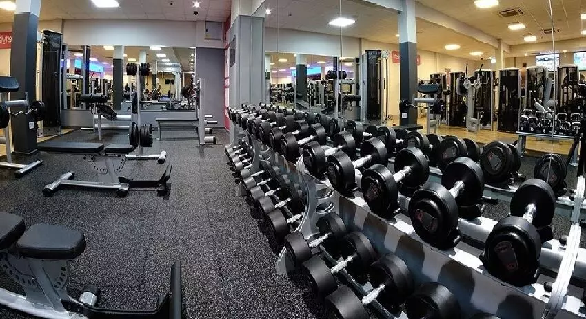 Startup Business Ideas : इस बिजनेस को शुरू कर आप महीने में कमा सकते हैं डेढ़ लाख रूपए, जाने पूरा प्रोसेस