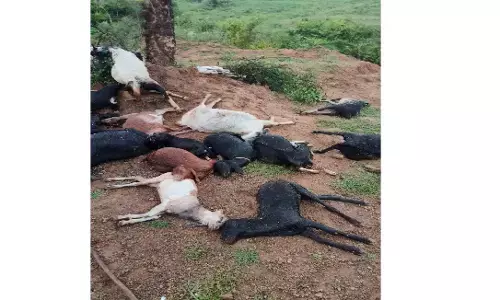 आकाशीय बिजली