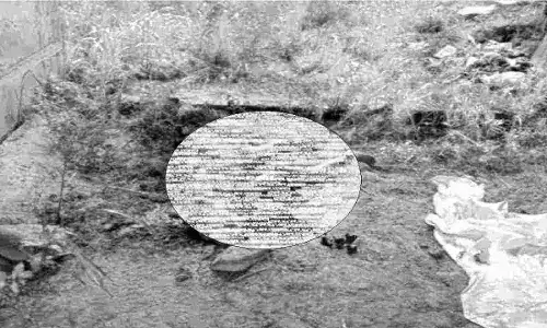 Indore News Half burnt body of youth found under bridge, police engaged in investigation