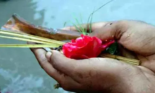 kush grass importance