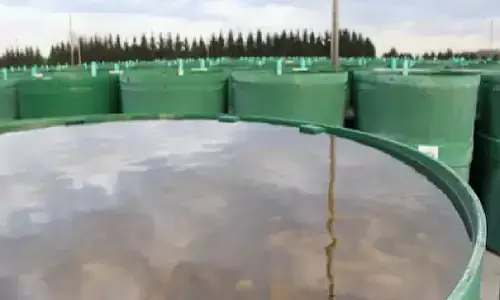 Start this business on 10 thousand investment along with job, you will earn 30 thousand in a month