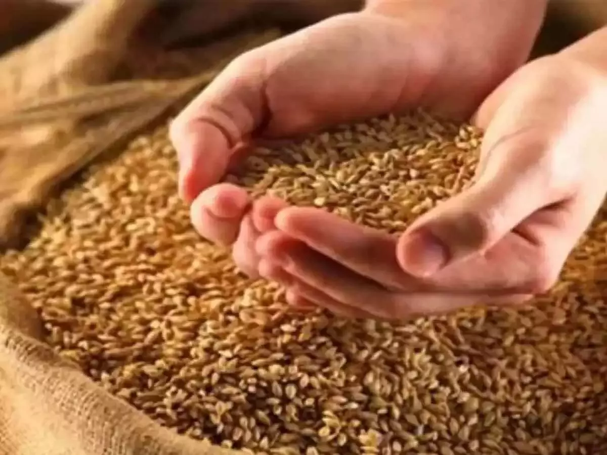 One Nation One Ration Card Scheme: खुशखबरी! नहीं है राशन कार्ड तो चिंता की कोई बात नहीं, अब मुफ्त में मिलेगा अनाज