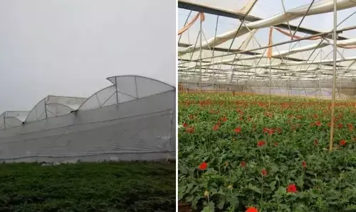 Polyhouse Government Scheme Polyhouse Government Scheme