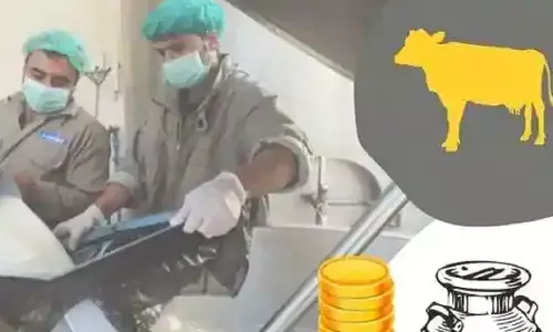 Business ideas: Government is giving help to start this business, take advantage of the scheme like this