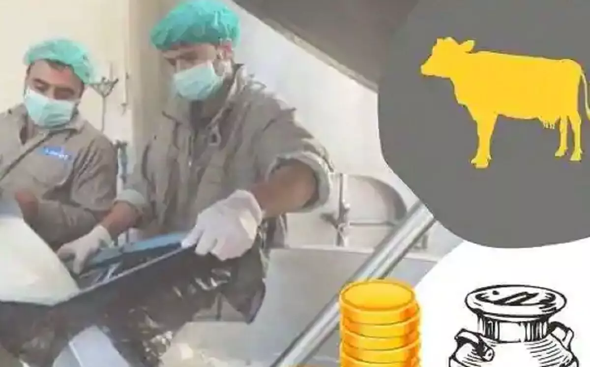 Business ideas: Government is giving help to start this business, take advantage of the scheme like this Business ideas: Government is giving help to start this business, take advantage of the scheme like this