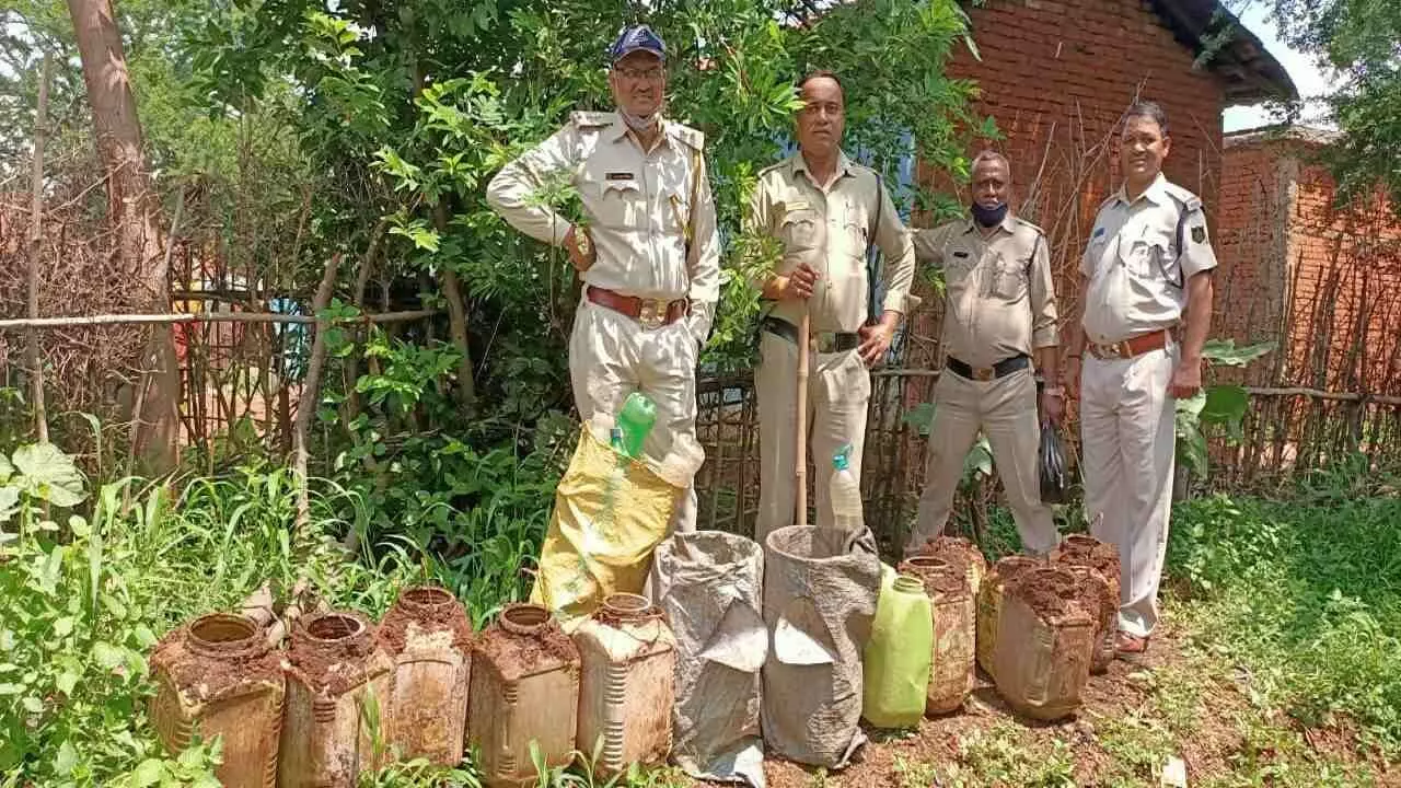 KATNI:1800 किलोग्राम महुआ लाहन तथा 15 लीटर अवैध शराब की गई जब्त