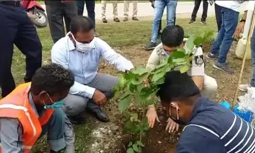 रीवा में स्वच्छता के नाम रहा प्रधानमंत्री का जन्मदिन, थानों में की गई साफ़-सफाई, कलेक्टर, एसपी ने लगाए पौधे