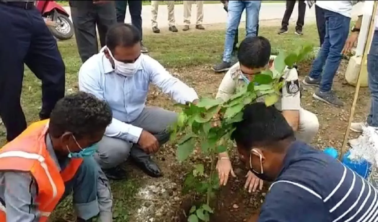 रीवा में स्वच्छता के नाम रहा प्रधानमंत्री का जन्मदिन, थानों में की गई साफ़-सफाई, कलेक्टर, एसपी ने लगाए पौधे