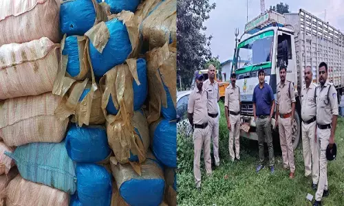 Sidhi News : सीधी पुलिस की बड़ी कार्रवाई, नमक में छिपा कर ले जाया जा रहा 1 करोड़ 21 लाख का गांजा जब्त