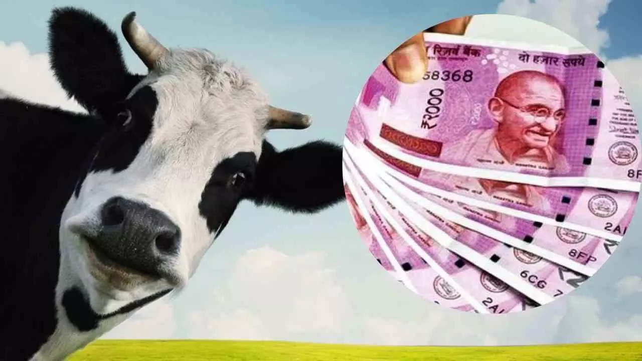 Pashu Kisan Credit Card Yojana: बिना किसी गारंटी किसानों को 1 लाख 60 हजार का ऋण, ऐसे मिलेगा लाभ