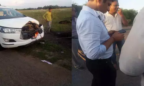 रीवा जिला पंचायत सीईओ का वाहन दुर्घटनाग्रस्त, मवेशी से टकराने पर हुआ हादसा