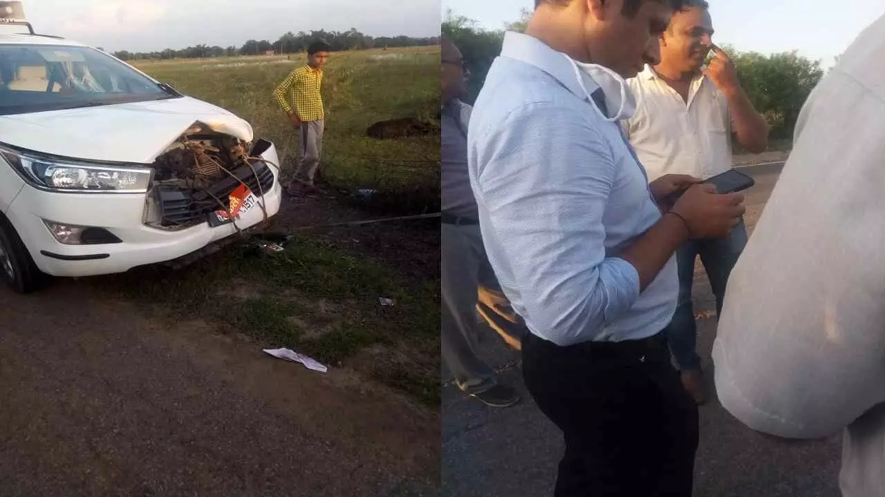 रीवा जिला पंचायत सीईओ का वाहन दुर्घटनाग्रस्त, मवेशी से टकराने पर हुआ हादसा