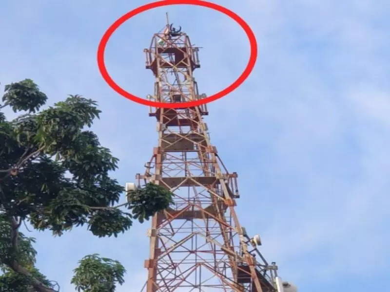 भोपाल में 90 मीटर ऊंचे टॉवर में चढ़ा युवक,TI ने दिखाई दरियादिली, सरकार करेगी पुरस्कृत