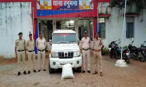 गांजे के खिलाफ रीवा पुलिस की बड़ी कार्रवाई, हरे पेड़ जब्त गांजे के खिलाफ रीवा पुलिस की बड़ी कार्रवाई, हरे पेड़ जब्त