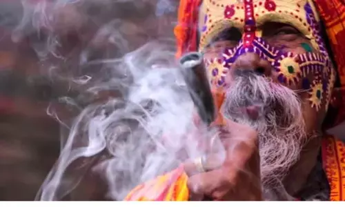 MARIJUANA : क्या आपको पता है देश में बैन होने से पहले ठेकों में बिकता था गांजा