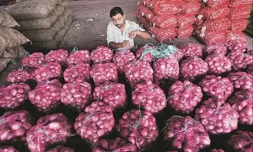 मध्य प्रदेश के किसान बनाएं प्याज भंडारण केंद्र, सरकार दे रही पैसा, ऐसे लें योजना का लाभ मध्य प्रदेश के किसान बनाएं प्याज भंडारण केंद्र, सरकार दे रही पैसा, ऐसे लें योजना का लाभ