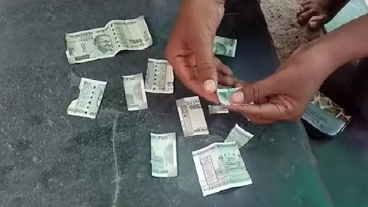 कटे फ़टे नोट लेने से बैंक नहीं कर सकता इनकार, जानें नोट बदलने की पूरी प्रक्रिया कटे फ़टे नोट लेने से बैंक नहीं कर सकता इनकार, जानें नोट बदलने की पूरी प्रक्रिया