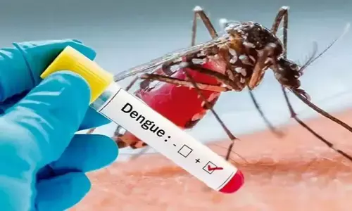 Dengue Virus: जानिए कैसे होती है डेंगू की बीमारी और कैसे करें इससे बचाओ