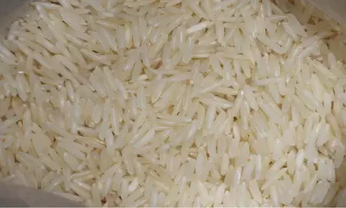 Chinnor Rice in MP: चिन्नौर धान को मिला जीआई टैग, मिलेगी अंतरराष्ट्रीय पहचान, स्वाद और सुगंध में है नंबर वन