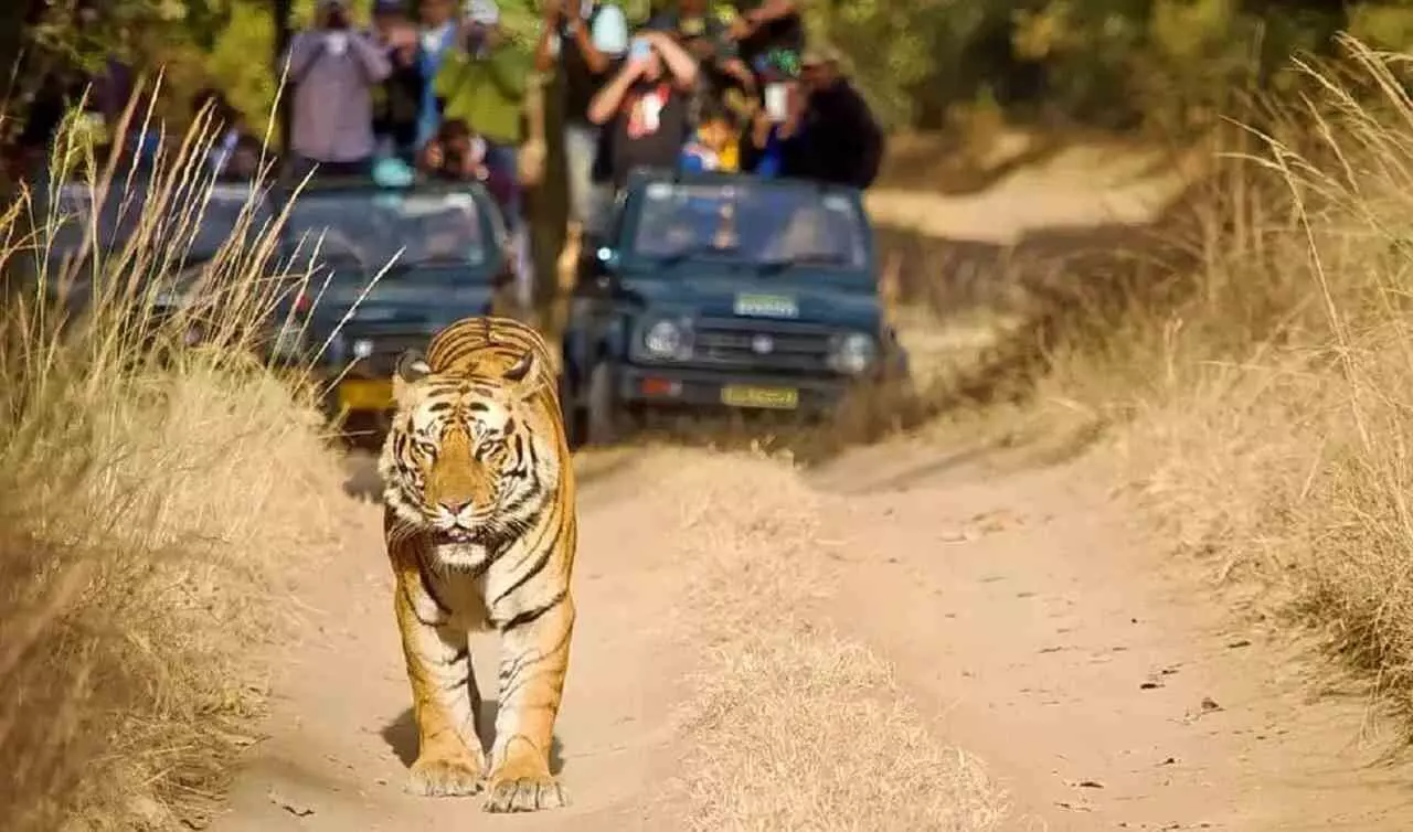 अब पर्यटकों को सतपुड़ा टाइगर रिज़र्व में घुमाएंगी महिला गाइड