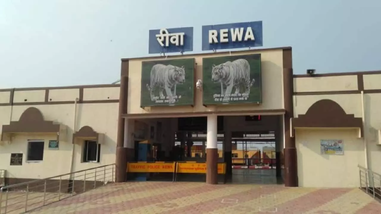 36 citizens living abroad came to REWA amid looming threat of new variant