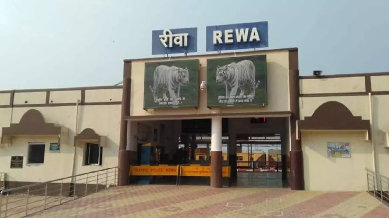 36 citizens living abroad came to REWA amid looming threat of new variant 36 citizens living abroad came to REWA amid looming threat of new variant