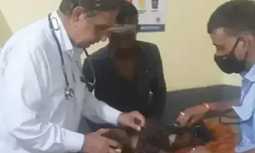 MP के धार में दो वर्ष की मासूम को उठा ले गया तेंदुआ, इलाज के दौरान हुई मौत