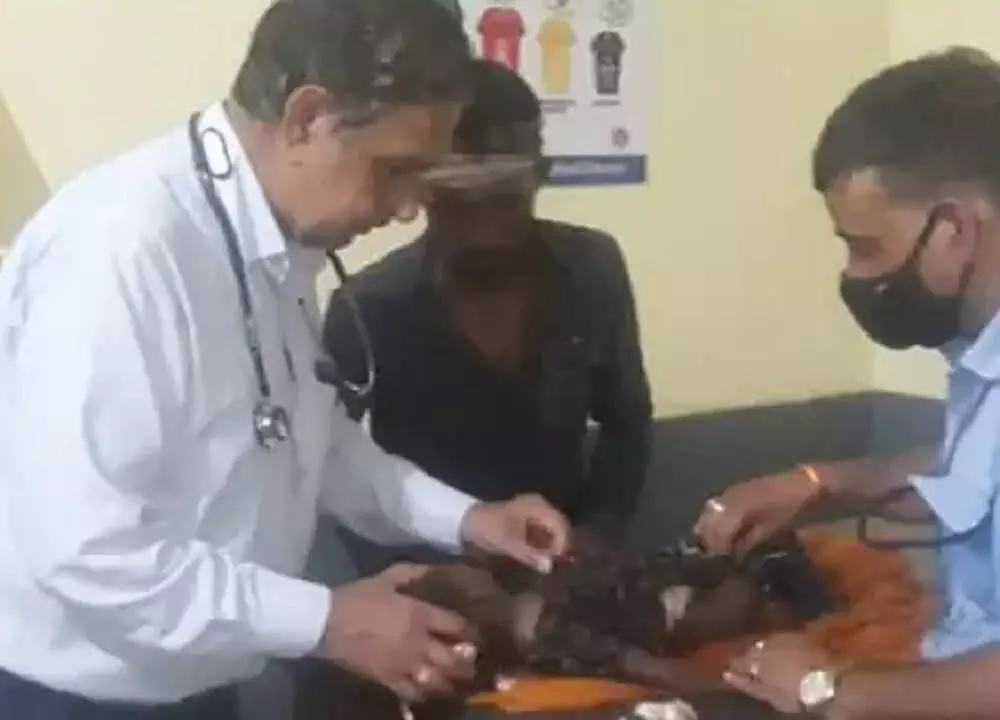 MP के धार में दो वर्ष की मासूम को उठा ले गया तेंदुआ, इलाज के दौरान हुई मौत