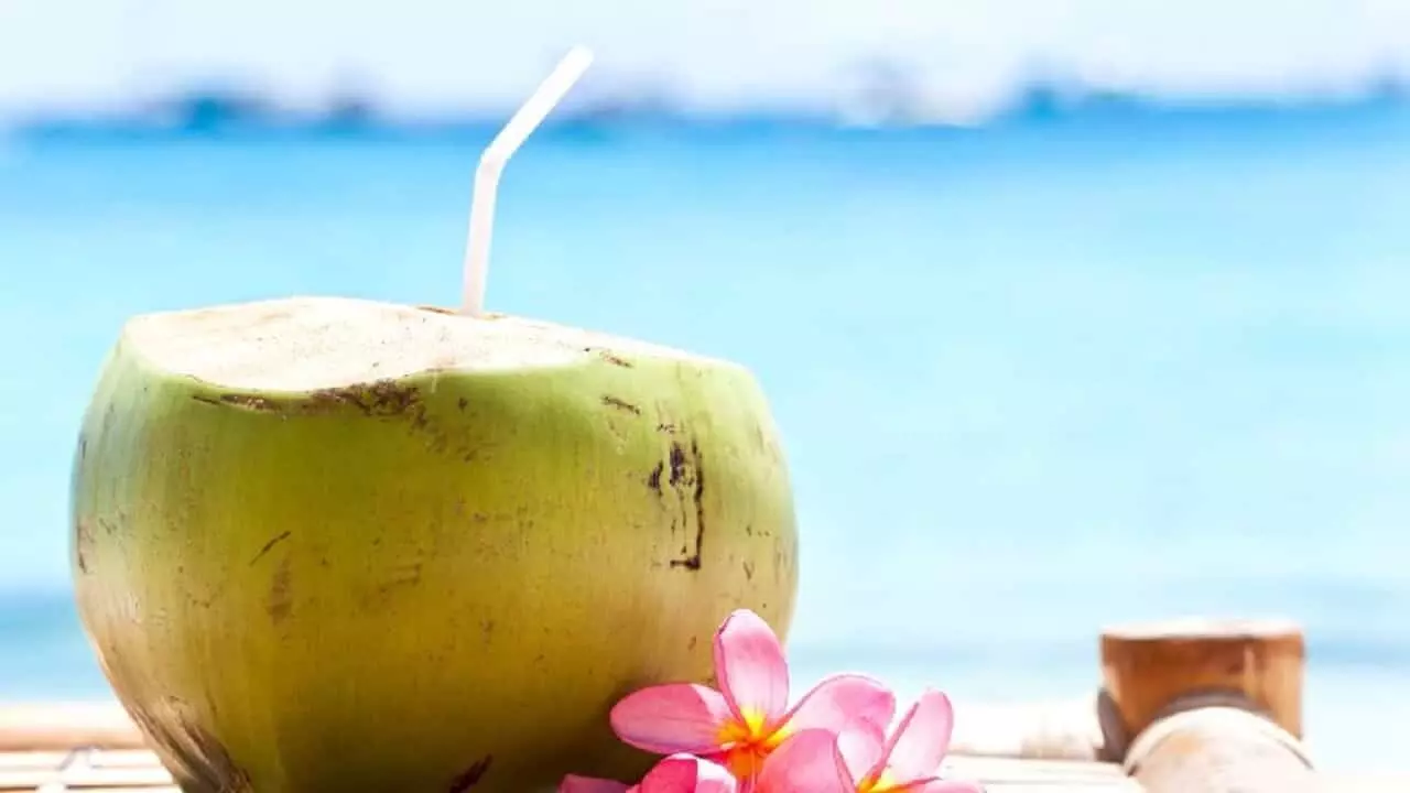 Coconut Water Benefits: बड़े काम का नारियल पानी, मौजूद हैं कई गुणकारी तत्व