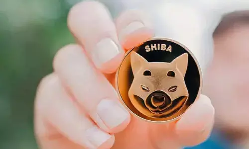 Shiba Inu Cryptocurrency: हफ्तेभर में लोगों को मालामाल बना दिया, $ 50 बिलियन पहुंचा मार्केट कैप
