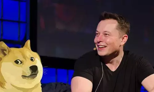 Cheems & Doge Meme: क्या है चीम्स और डॉगी मीम जिसके पीछे एलन  मस्क भी दीवाने हैं