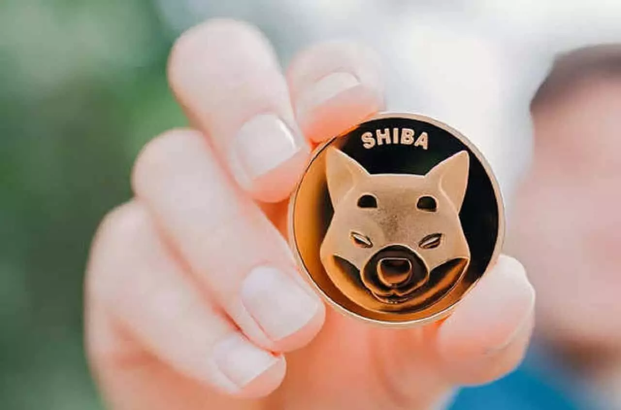 Shiba Inu Cryptocurrency: हफ्तेभर में लोगों को मालामाल बना दिया, $ 50 बिलियन पहुंचा मार्केट कैप