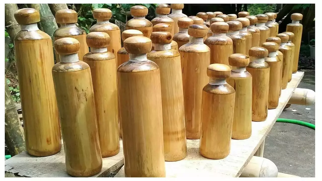 Bamboo Water Bottle: शुरू करें बांस की बोतल का बिजनेस, हर महीने होगी लाखो की कमाई, सरकार भी करेगी मदद, जानिए कैसे?